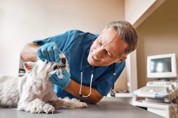 Best Emergency Root Canal Treatment in Tyndall Af, FL